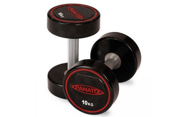 Уретановая гантель 20 кг Panatta 1RD20 600_380