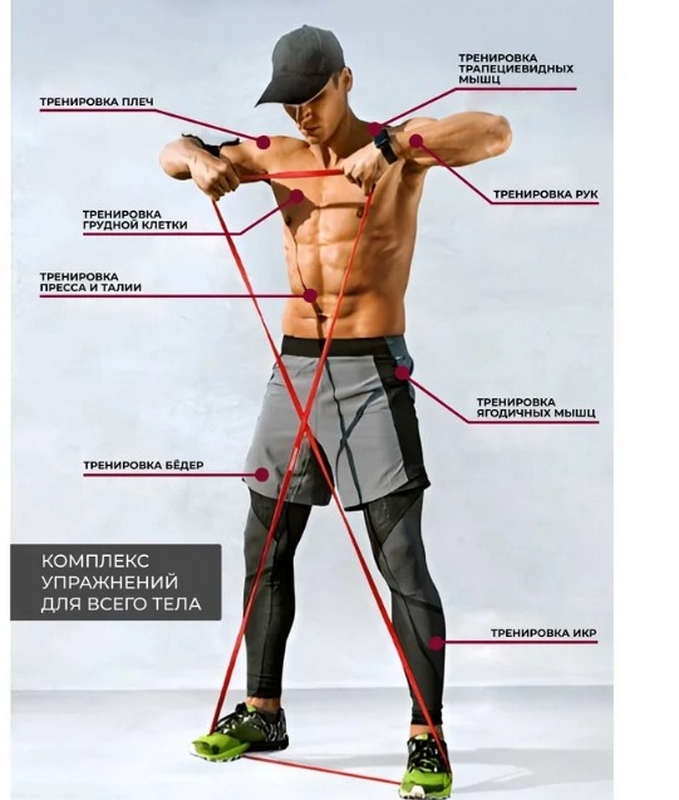 Эспандр ленточный 27-45кг 208x3,5x0,45см PROIRON ЭЛ2745 фиолетовый 679_800